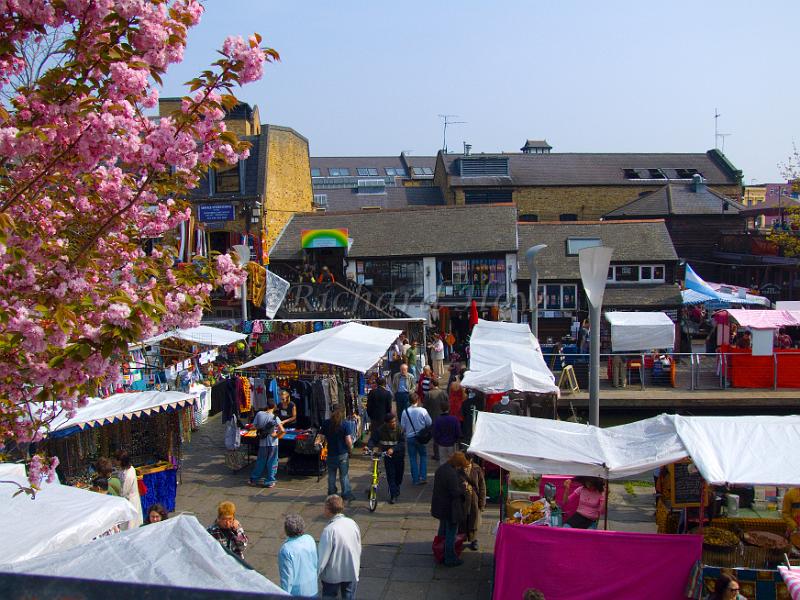 dscf4921.jpg